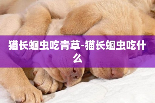 貓長蛔蟲吃青草-貓長蛔蟲吃什么