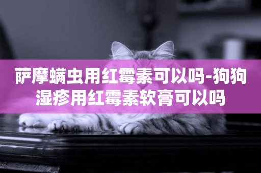 薩摩螨蟲用紅霉素可以嗎-狗狗濕疹用紅霉素軟膏可以嗎