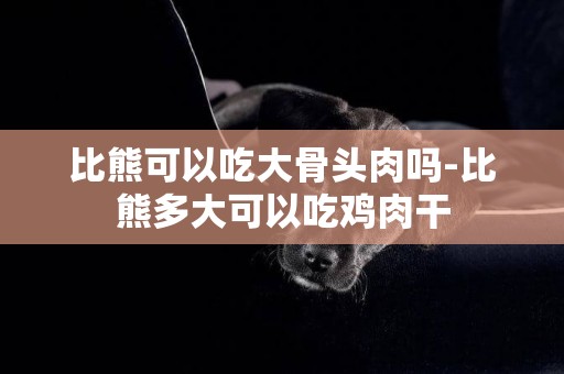 比熊可以吃大骨頭肉嗎-比熊多大可以吃雞肉干