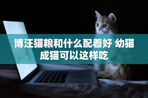 博汪貓糧和什么配著好 幼貓成貓可以這樣吃