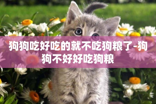 狗狗吃好吃的就不吃狗糧了-狗狗不好好吃狗糧