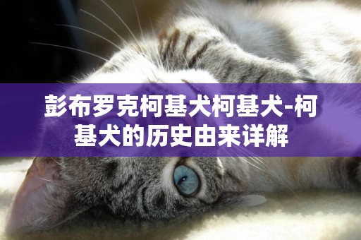 彭布羅克柯基犬柯基犬-柯基犬的歷史由來詳解