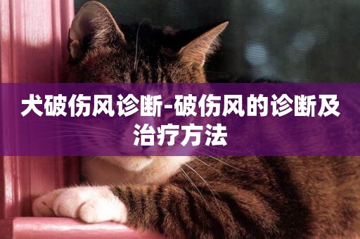 犬破傷風診斷-破傷風的診斷及治療方法