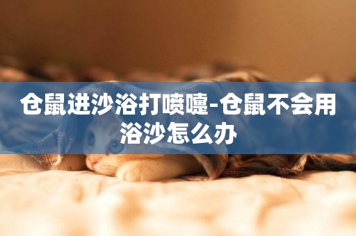 倉鼠進沙浴打噴嚏-倉鼠不會用浴沙怎么辦