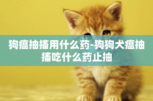 狗瘟抽搐用什么藥-狗狗犬瘟抽搐吃什么藥止抽