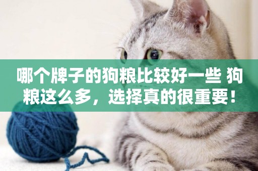 哪個牌子的狗糧比較好一些 狗糧這么多，選擇真的很重要！