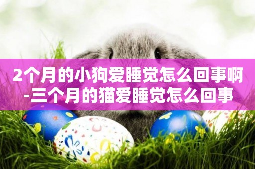2個月的小狗愛睡覺怎么回事啊-三個月的貓愛睡覺怎么回事