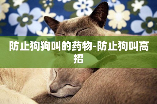 防止狗狗叫的藥物-防止狗叫高招