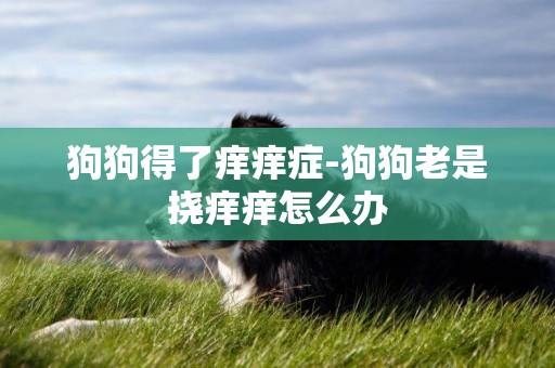 狗狗得了癢癢癥-狗狗老是撓癢癢怎么辦