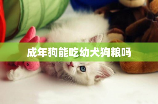成年狗能吃幼犬狗糧嗎