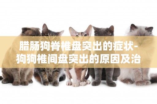 臘腸狗脊椎盤突出的癥狀-狗狗椎間盤突出的原因及治療方法