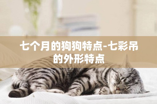 七個月的狗狗特點-七彩吊的外形特點