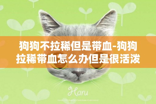狗狗不拉稀但是帶血-狗狗拉稀帶血怎么辦但是很活潑
