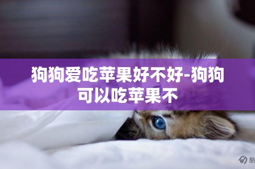 狗狗愛吃蘋果好不好-狗狗可以吃蘋果不