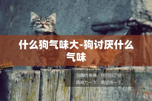 什么狗氣味大-狗討厭什么氣味