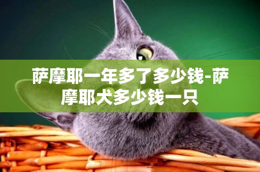 薩摩耶一年多了多少錢-薩摩耶犬多少錢一只
