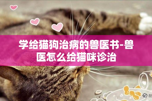 學給貓狗治病的獸醫書-獸醫怎么給貓咪診治