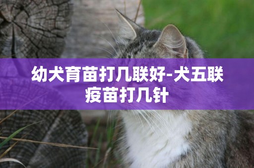幼犬育苗打幾聯好-犬五聯疫苗打幾針