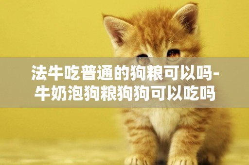 法牛吃普通的狗糧可以嗎-牛奶泡狗糧狗狗可以吃嗎