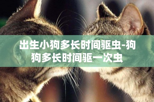 出生小狗多長時間驅蟲-狗狗多長時間驅一次蟲