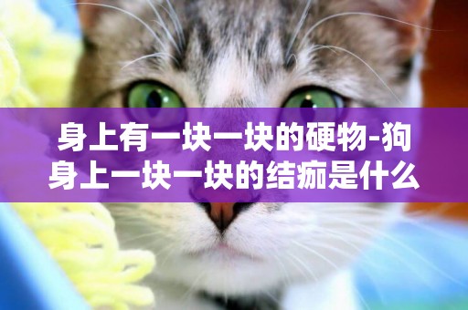 身上有一塊一塊的硬物-狗身上一塊一塊的結痂是什么病