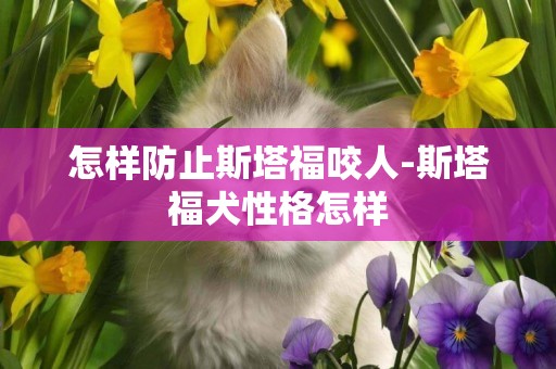 怎樣防止斯塔福咬人-斯塔福犬性格怎樣