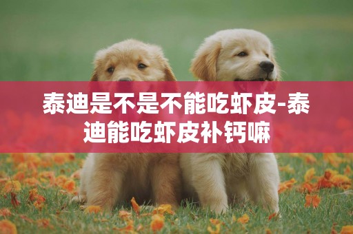 泰迪是不是不能吃蝦皮-泰迪能吃蝦皮補鈣嘛
