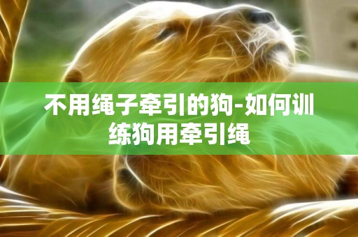 不用繩子牽引的狗-如何訓練狗用牽引繩