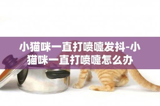 小貓咪一直打噴嚏發抖-小貓咪一直打噴嚏怎么辦