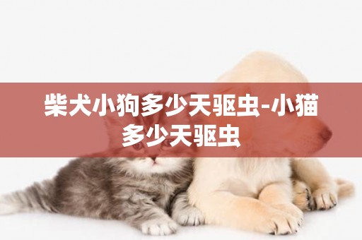 柴犬小狗多少天驅蟲-小貓多少天驅蟲