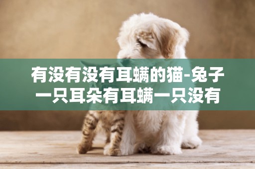 有沒有沒有耳螨的貓-兔子一只耳朵有耳螨一只沒有