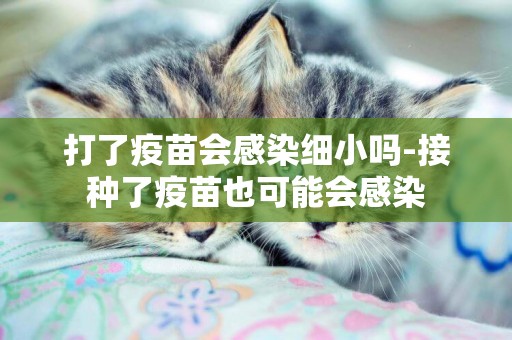 打了疫苗會感染細小嗎-接種了疫苗也可能會感染