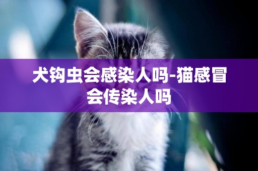 犬鉤蟲會感染人嗎-貓感冒會傳染人嗎