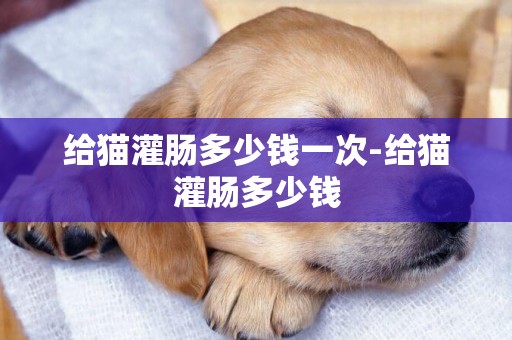 給貓灌腸多少錢一次-給貓灌腸多少錢