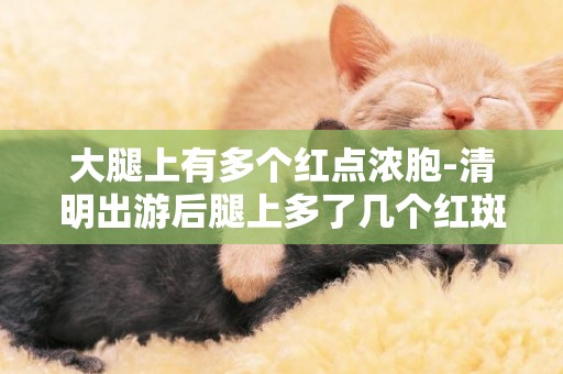 大腿上有多個紅點濃胞-清明出游后腿上多了幾個紅斑