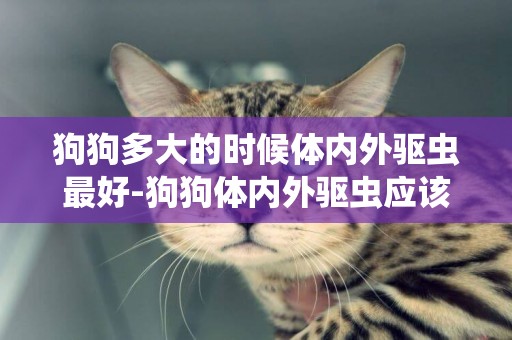 狗狗多大的時候體內外驅蟲最好-狗狗體內外驅蟲應該多長時間進行一次
