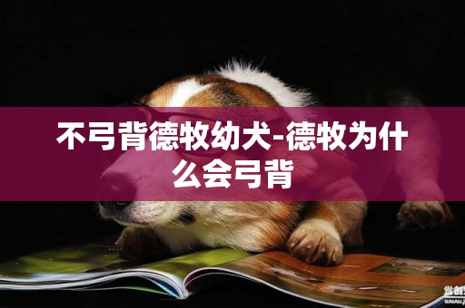 不弓背德牧幼犬-德牧為什么會弓背