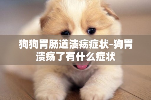 狗狗胃腸道潰瘍癥狀-狗胃潰瘍了有什么癥狀