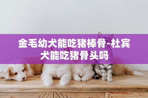金毛幼犬能吃豬棒骨-杜賓犬能吃豬骨頭嗎