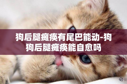 狗后腿癱瘓有尾巴能動-狗狗后腿癱瘓能自愈嗎