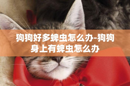 狗狗好多蜱蟲怎么辦-狗狗身上有蜱蟲怎么辦