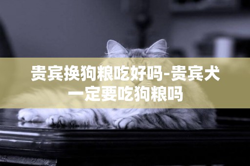 貴賓換狗糧吃好嗎-貴賓犬一定要吃狗糧嗎