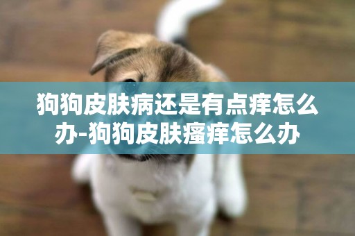 狗狗皮膚病還是有點癢怎么辦-狗狗皮膚瘙癢怎么辦