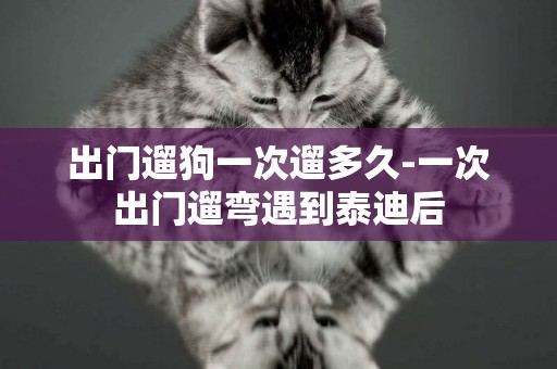出門遛狗一次遛多久-一次出門遛彎遇到泰迪后