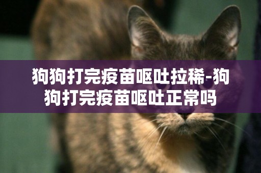 狗狗打完疫苗嘔吐拉稀-狗狗打完疫苗嘔吐正常嗎