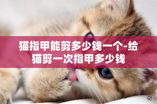 貓指甲能剪多少錢一個-給貓剪一次指甲多少錢