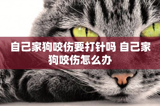 自己家狗咬傷要打針嗎 自己家狗咬傷怎么辦