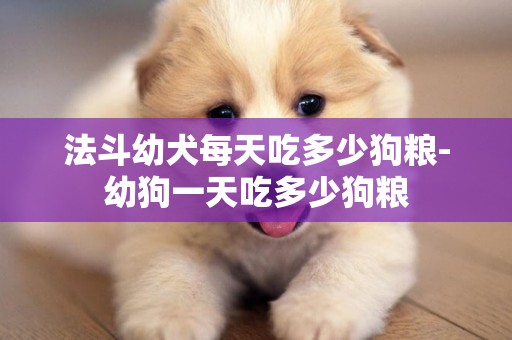法斗幼犬每天吃多少狗糧-幼狗一天吃多少狗糧