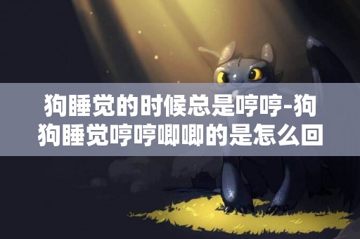 狗睡覺的時候總是哼哼-狗狗睡覺哼哼唧唧的是怎么回事