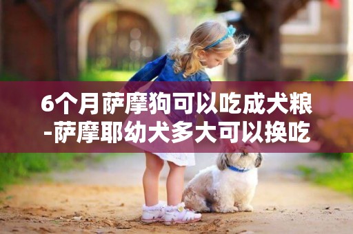 6個月薩摩狗可以吃成犬糧-薩摩耶幼犬多大可以換吃成犬狗糧呢